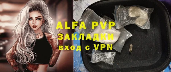 a pvp Бородино